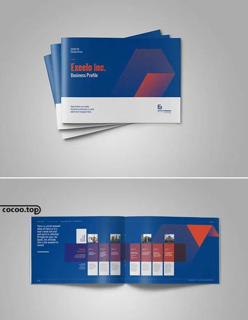 視覺說服 企業宣傳冊設計與市場營銷策劃的協同效應